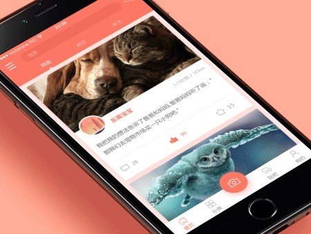 宠物医院App开发的价值和相关功能-北京星空体育综合登录入口（中国）官方网站